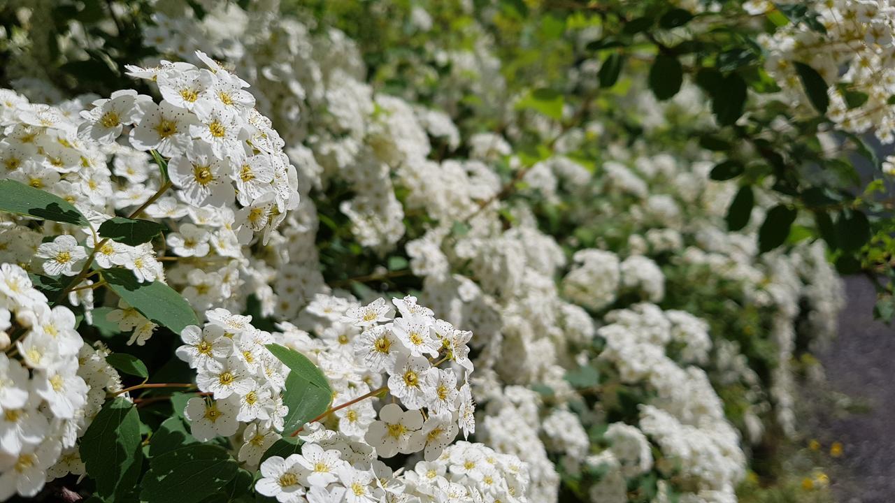 Gasthof Fair Mörtschach 외부 사진